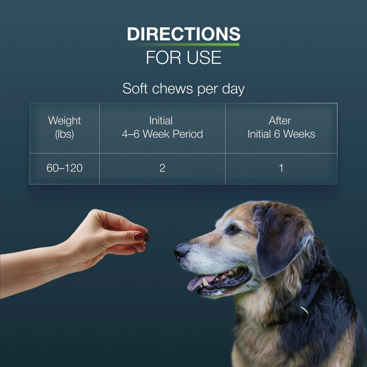 Large Dogs Soft Chews 84ct Joint Supplement E106