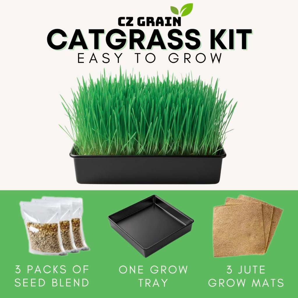 Cat Grass Growing Kit with Organic Seed S126