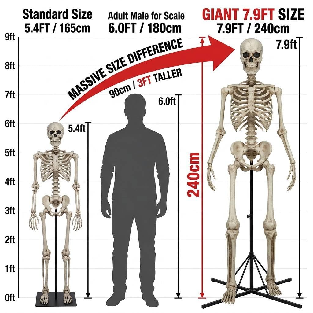 7.9FT Life Size Posable Skeleton L9653