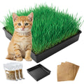 Cat Grass Growing Kit with Organic Seed S126