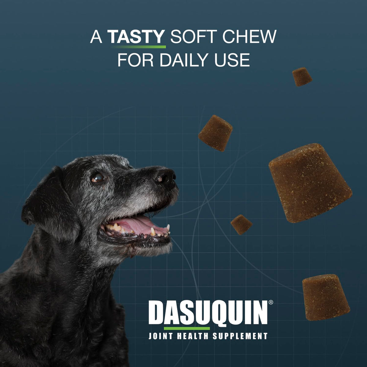 Large Dogs Soft Chews 84ct Joint Supplement E106