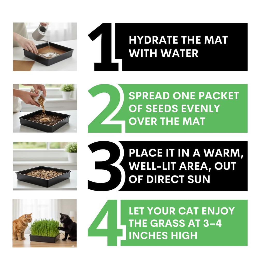 Cat Grass Growing Kit with Organic Seed S126