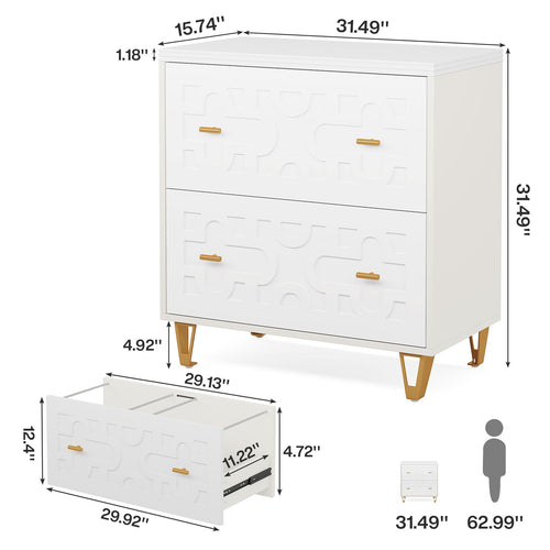 2-Drawer Lateral File Cabinet H259