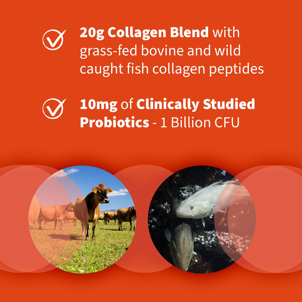 Marine & Grass-Fed Collagen Peptides Powder with Probiotics & BCAAs Unflavored X153877