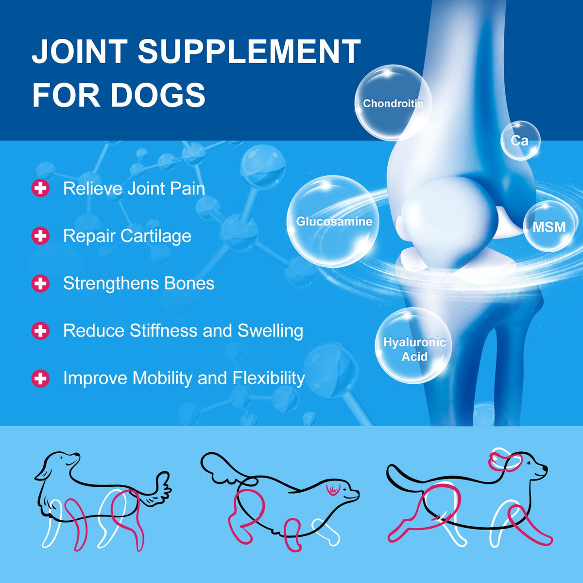 Dog Vitamins Powder Q5979