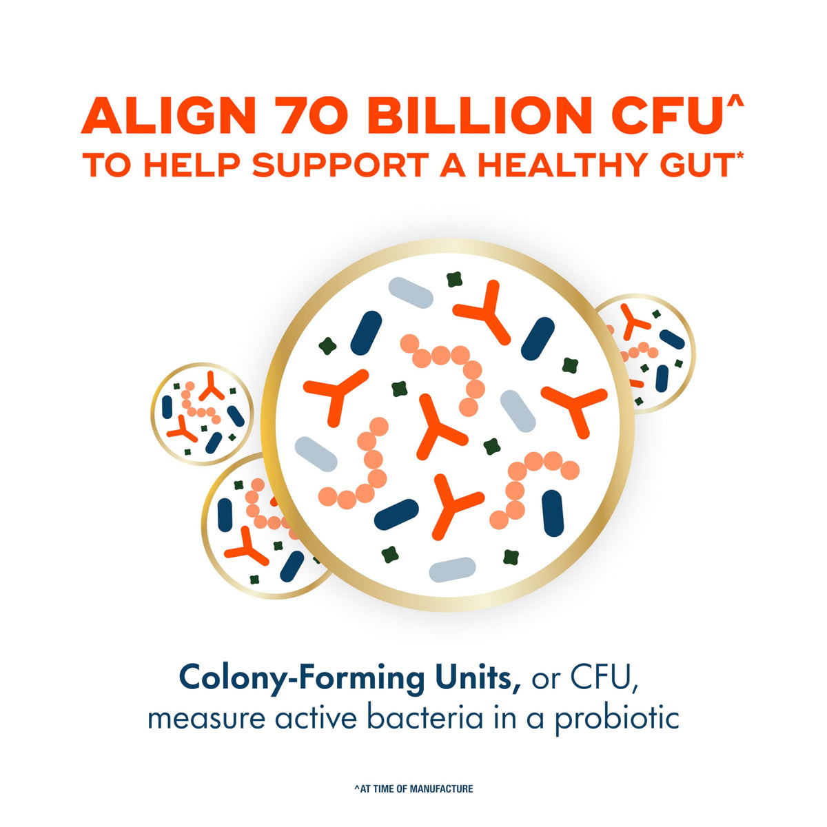 70 Billion CFU 6 Strain Blend Probiotic 30 Capsules M304
