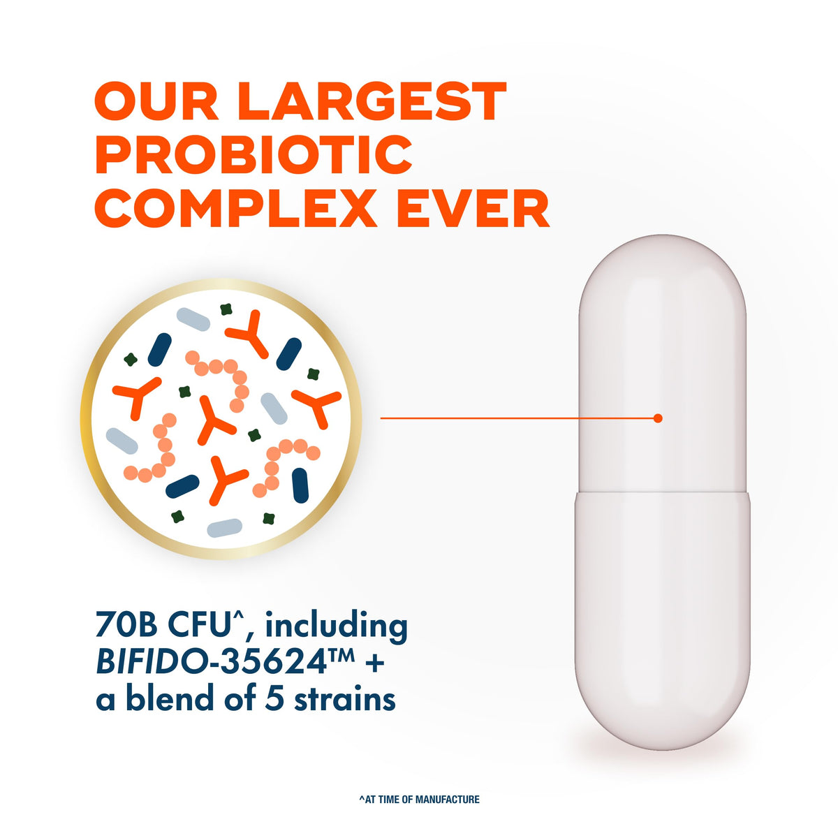 70 Billion CFU 6 Strain Blend Probiotic 30 Capsules M304