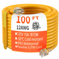 100 FT 12/3 Gauge Heavy Duty Outdoor Extension Cord Waterproof T155