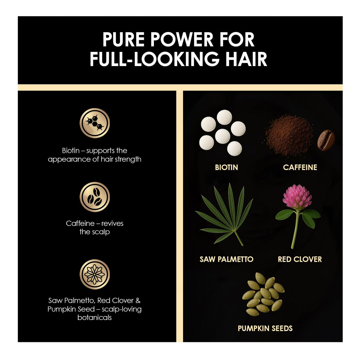 Biotin Caffeine Shampoo and Conditioner Set S210
