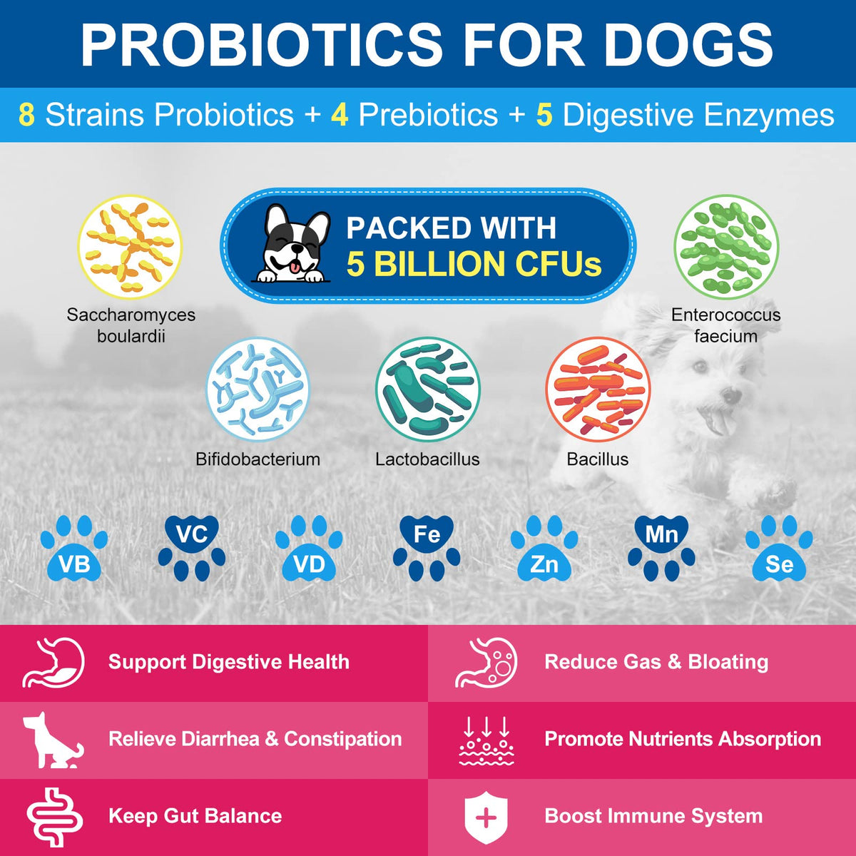 Dog Vitamins Powder Q5979