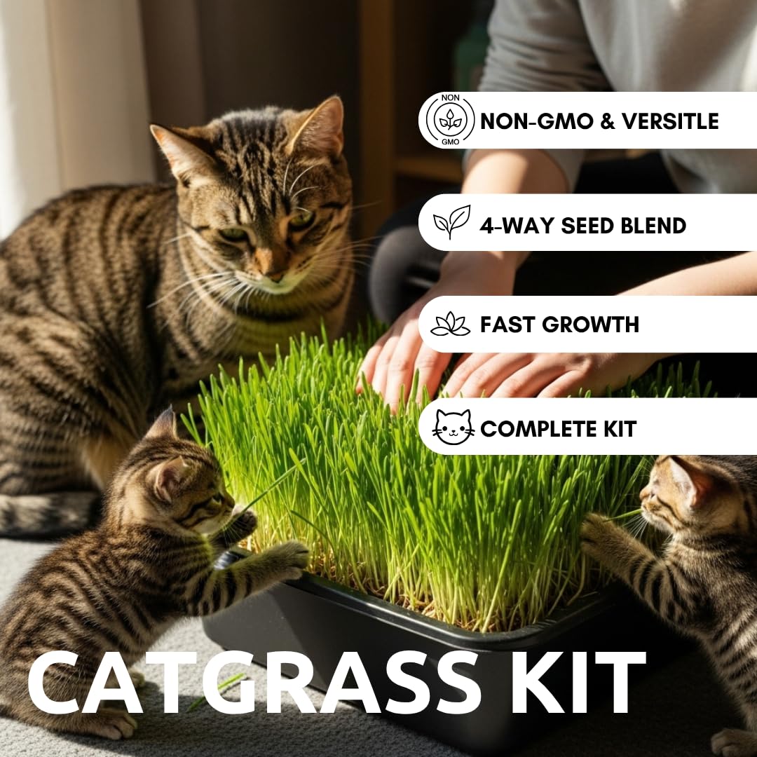 Cat Grass Growing Kit with Organic Seed S126