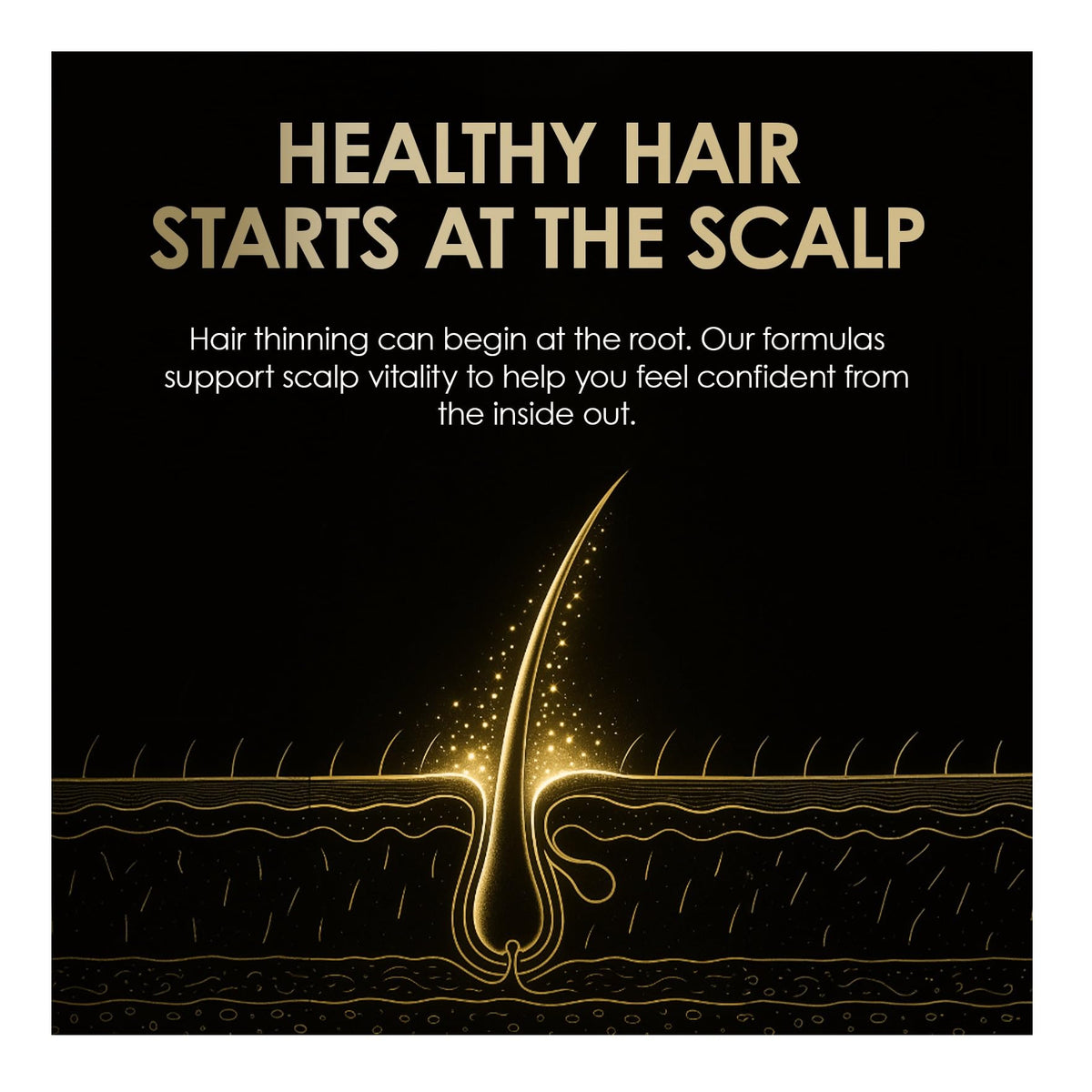 Biotin Caffeine Shampoo and Conditioner Set S210