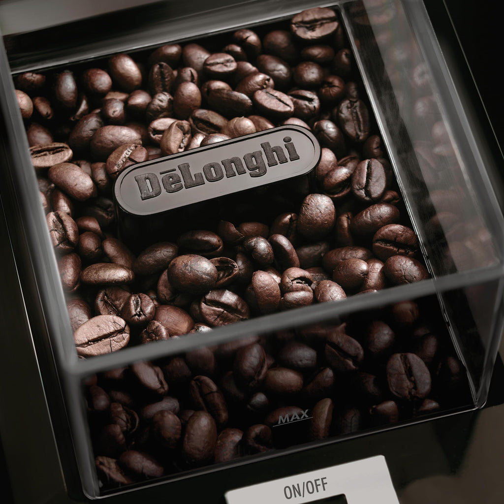 Stainless Steel Burr Coffee Grinder U7934
