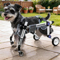 Dog Wheelchair for Small Dogs N8006