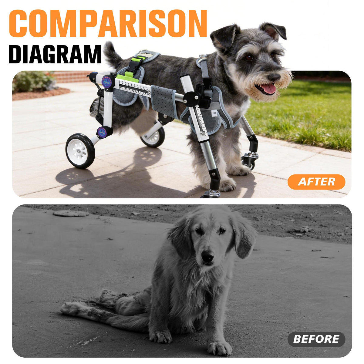 Dog Wheelchair for Small Dogs N8006
