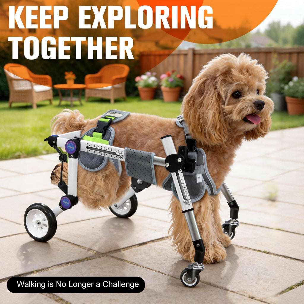 Dog Wheelchair for Small Dogs N8006