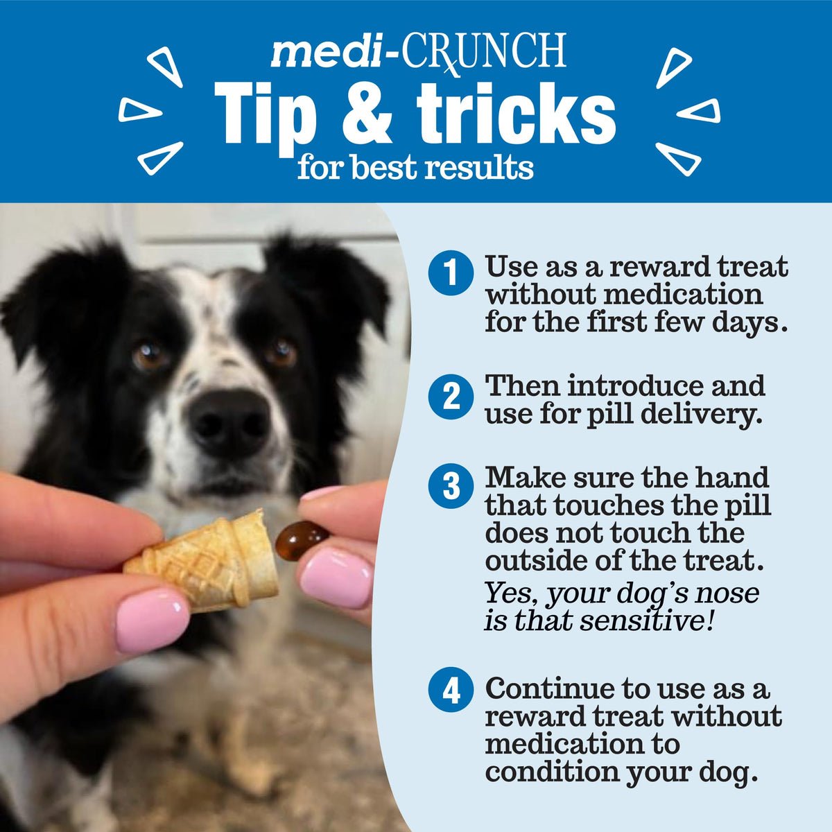 Peanut Butter Dog Pill Treats 30 Count T233