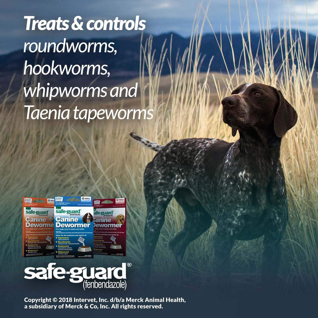 Canine Dewormer 1gm pouch R3623