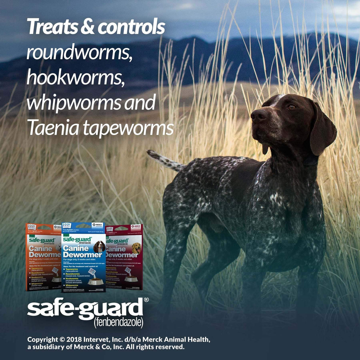 Canine Dewormer 1gm pouch R3623
