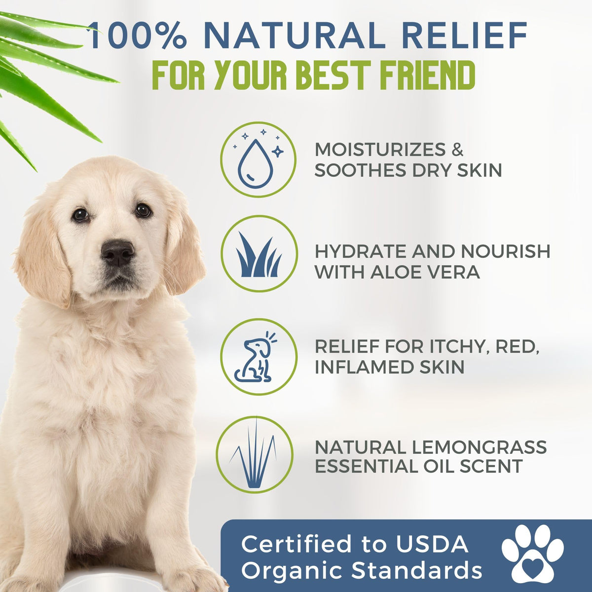 Certified Organic Hypoallergenic Dog Shampoo with Aloe and Lemongrass 16 oz R7354