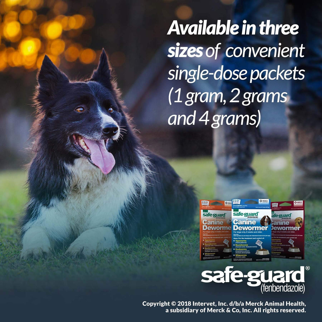 Canine Dewormer 1gm pouch R3623