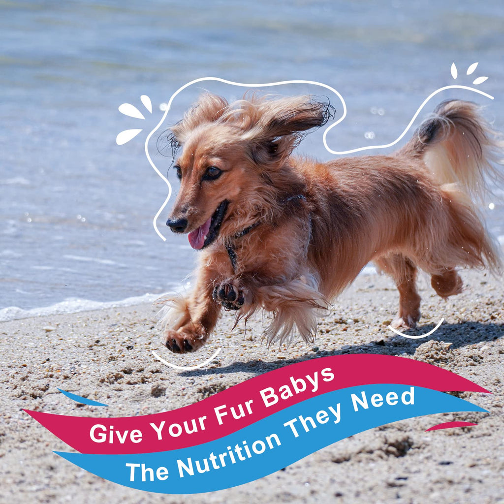 Dog Vitamins Powder Q5979