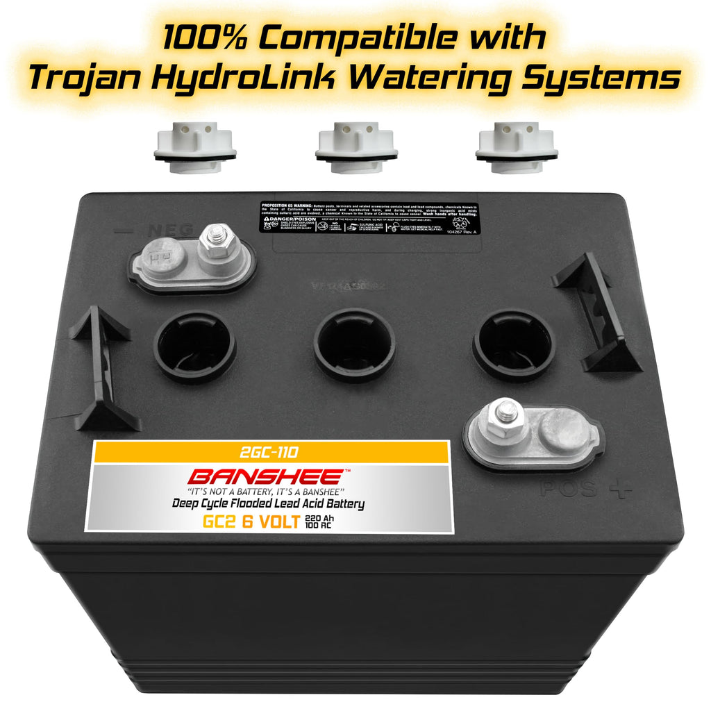 220Ah Deep Cycle Golf Cart Batteries 4-Pack L1762