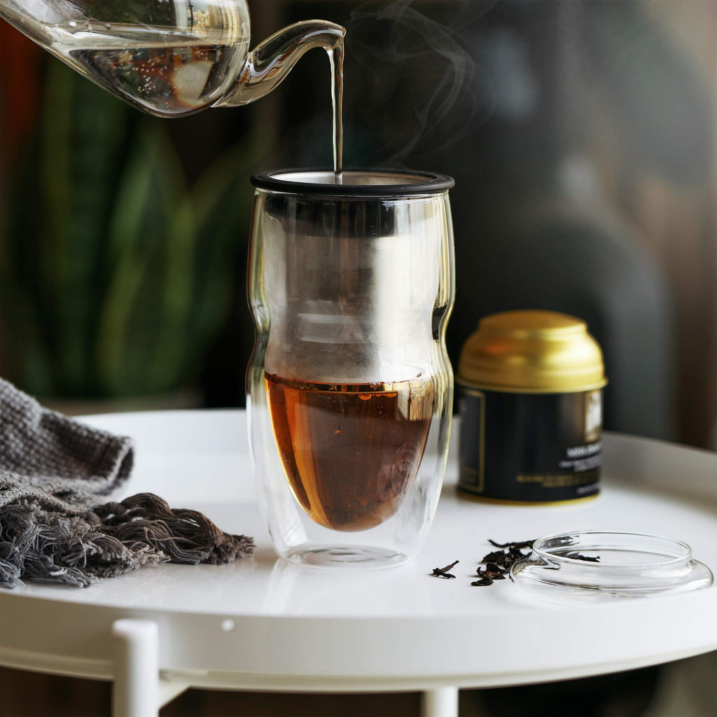 Double Wall Glass Tea Cup with Stainless Steel Infuser and Lid, 16 oz, 2 Pack J324