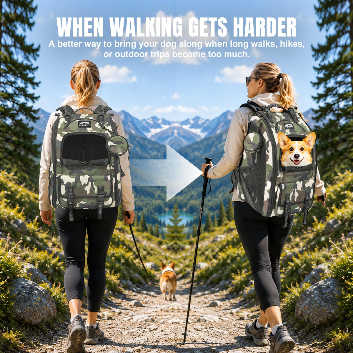 Dog Backpack Carrier Up to 20 lb R688