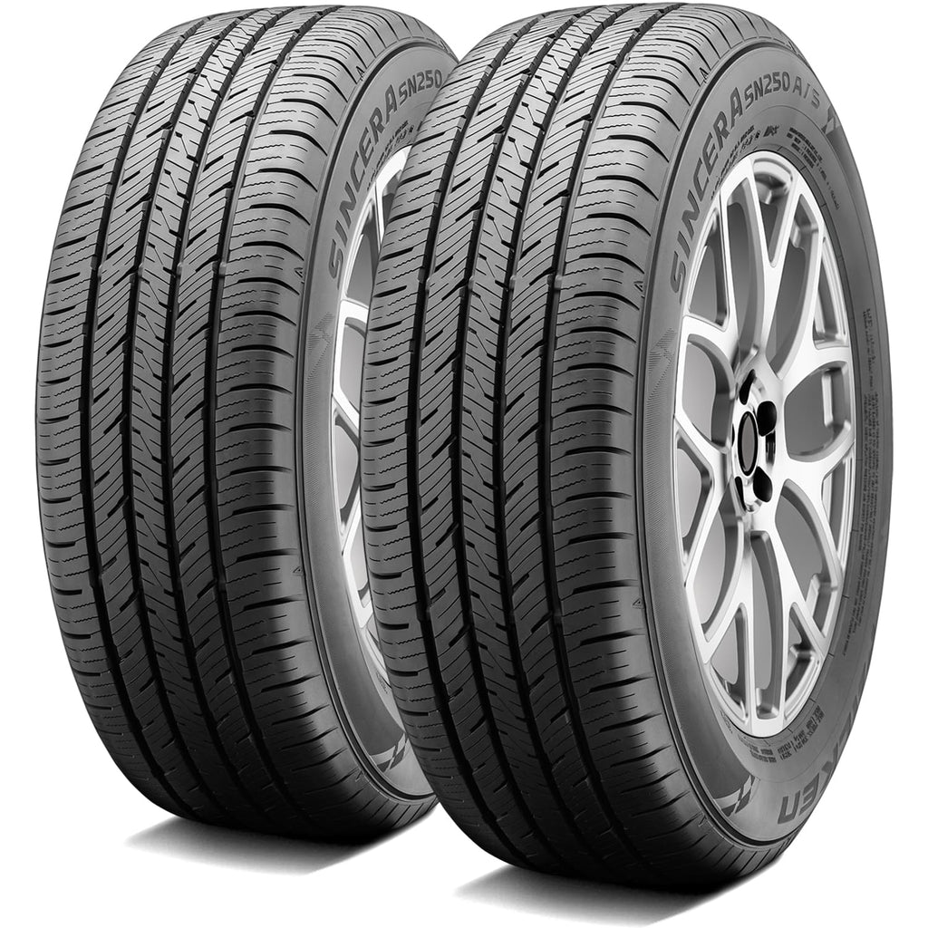 All-Season Radial Tire 205/65R15 99H W5132