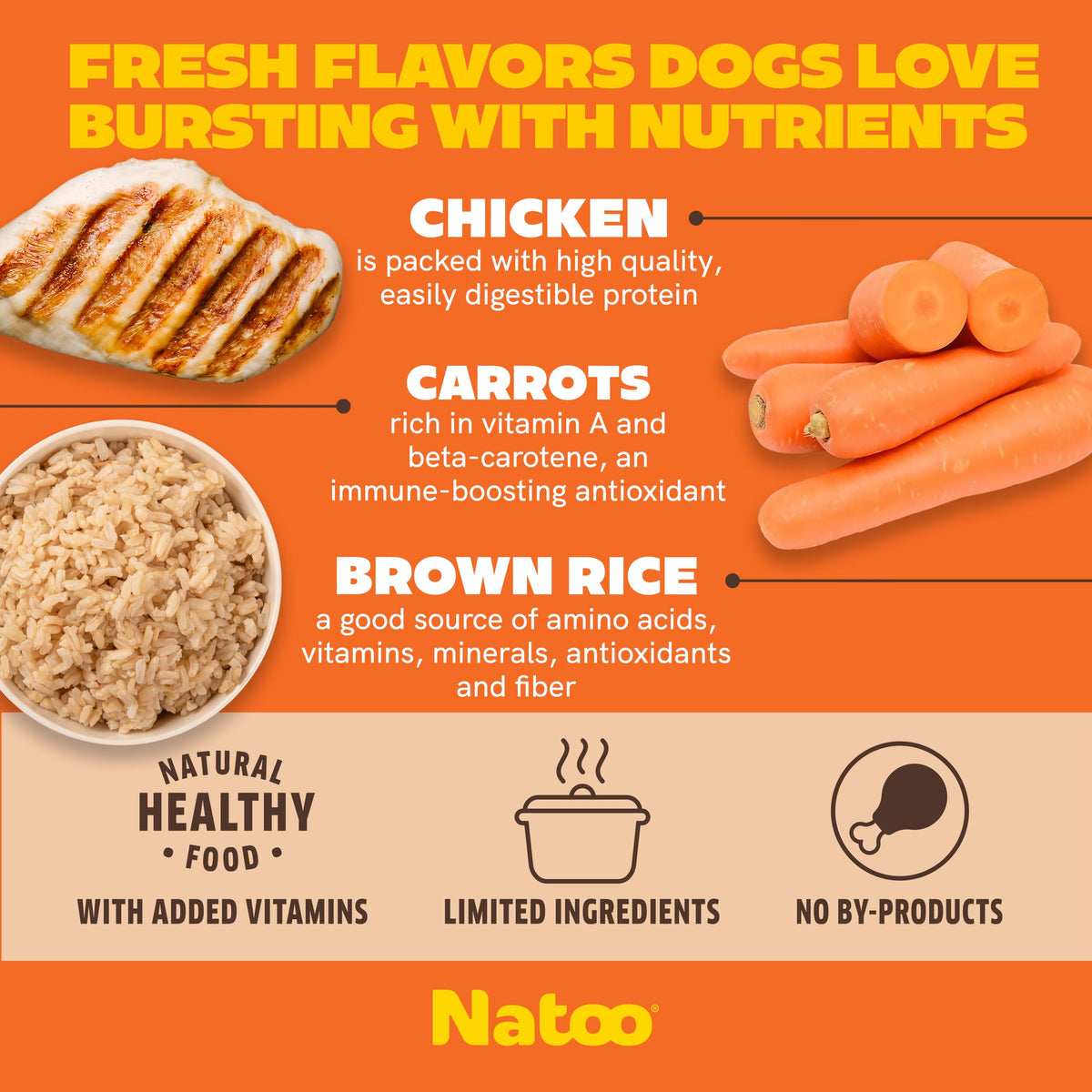 Dog Food Topper Chicken Carrot Brown Rice Quinoa Case of 20 M4644