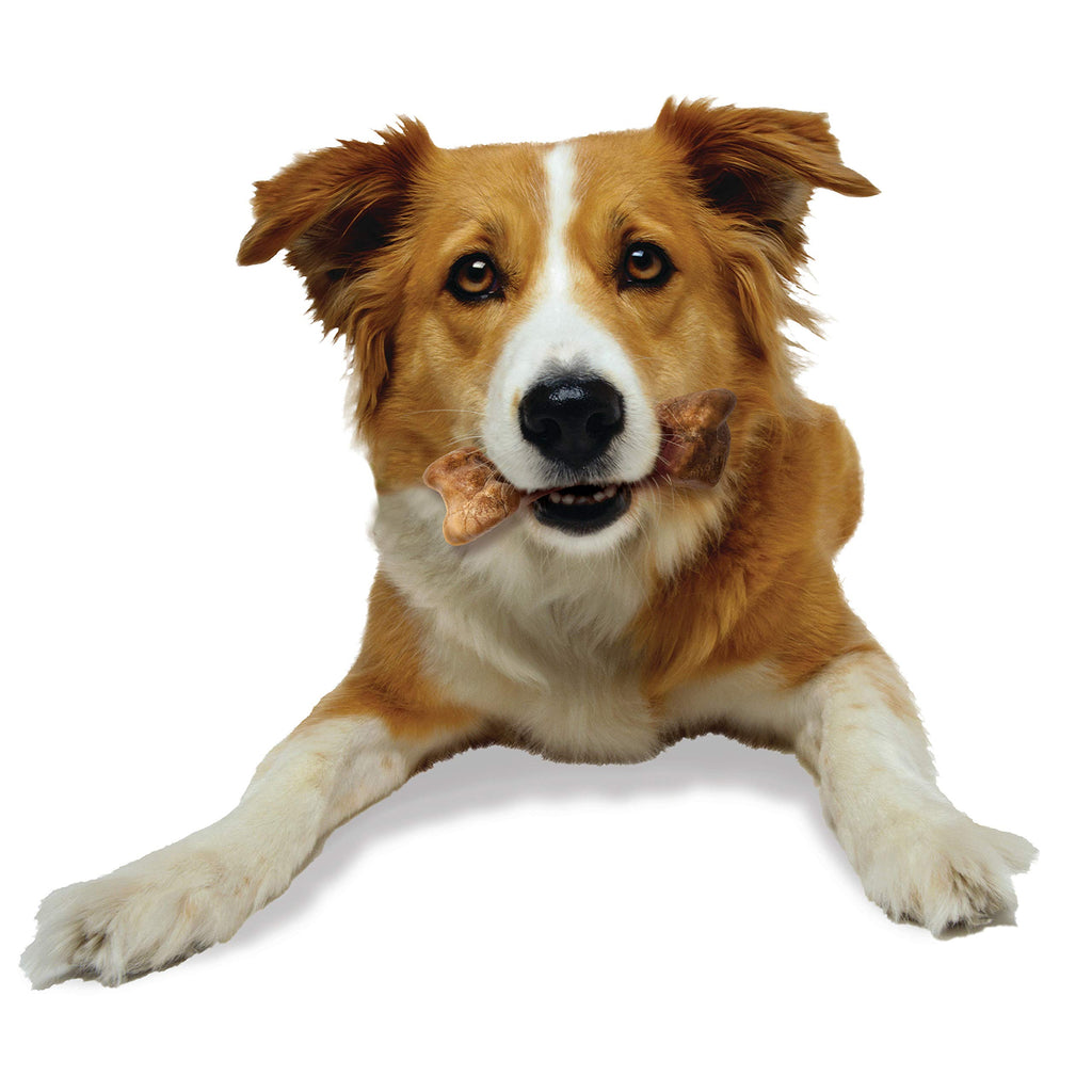 Bison Flavor Medium Dog Treats 2 Count N103