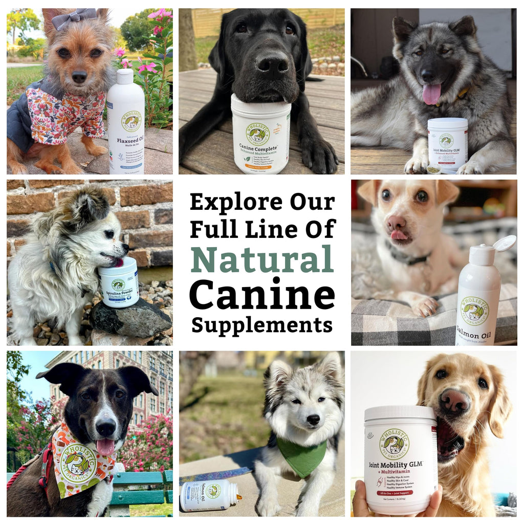 Organic Dog Vitamins, 1 Lb, 45 Scoops C132